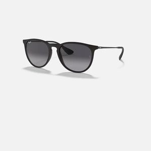 RayBan Erika Sunglasses